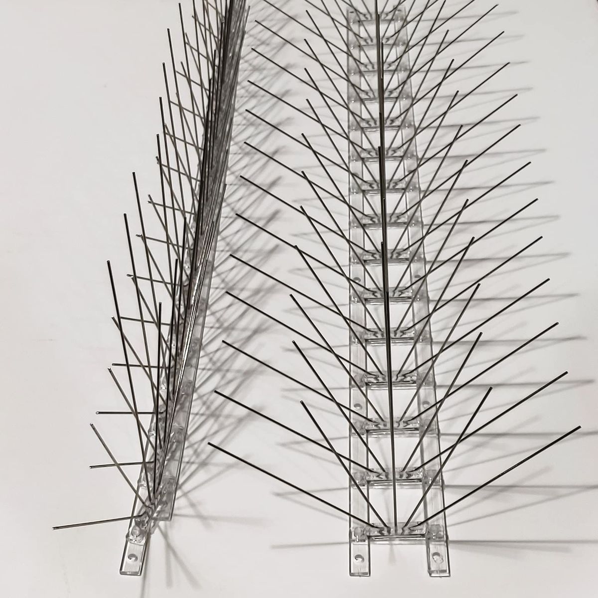 Bird Spikes